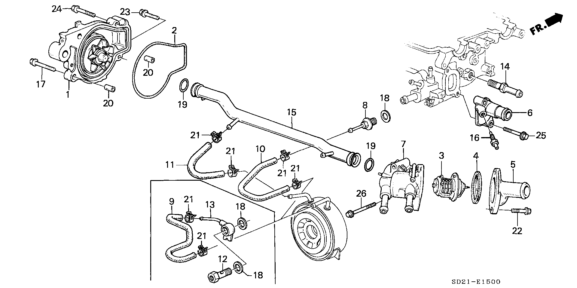 WATER PUMP/ THERMOSTAT