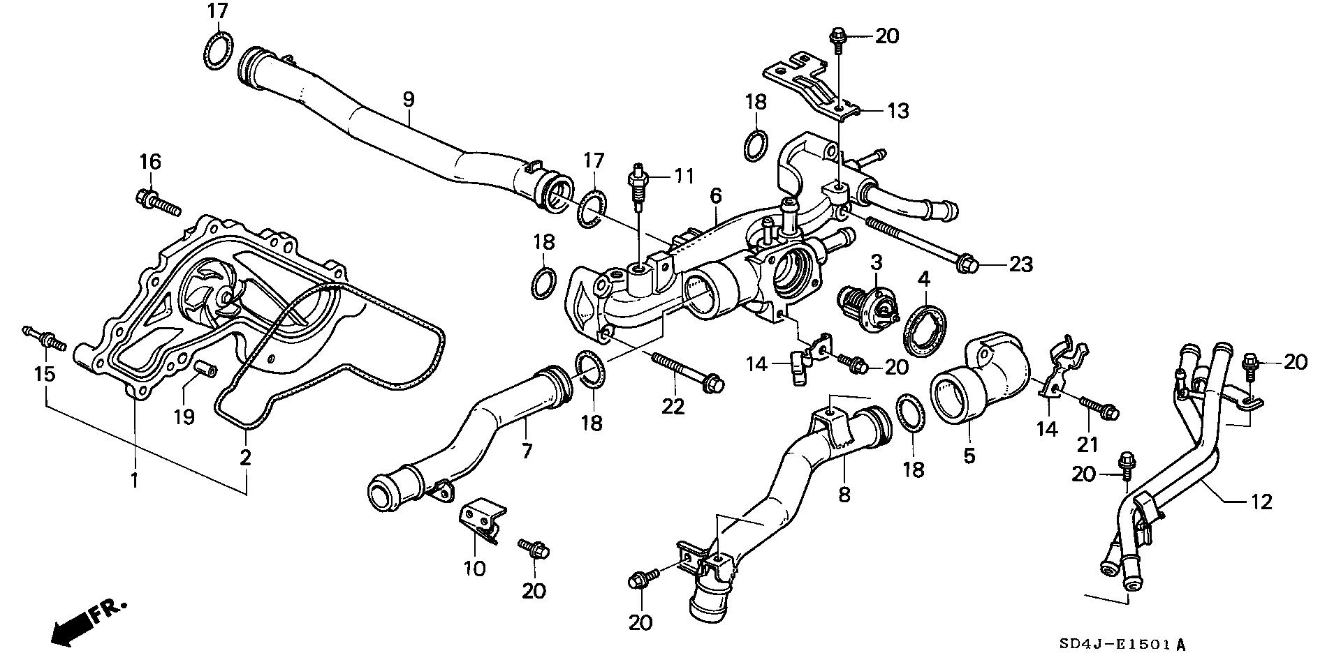 WATER PUMP/ THERMOSTAT( TURBO)