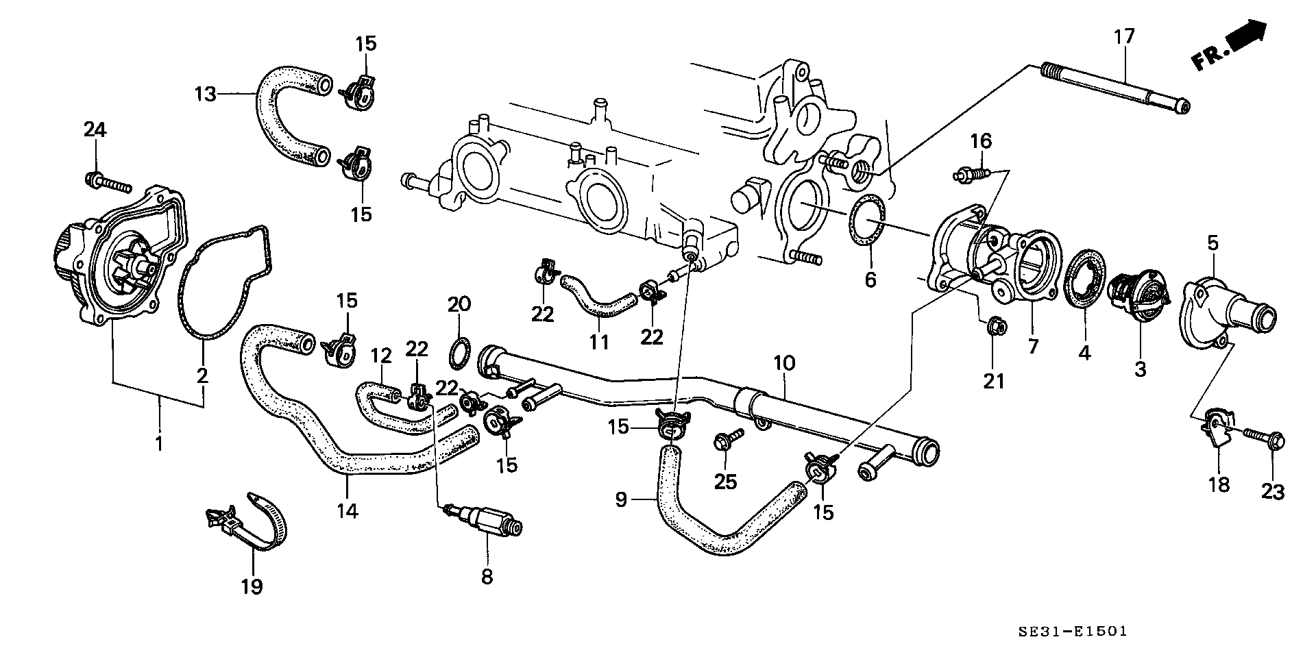 WATER PUMP/ THERMOSTAT ( DUAL CAB)