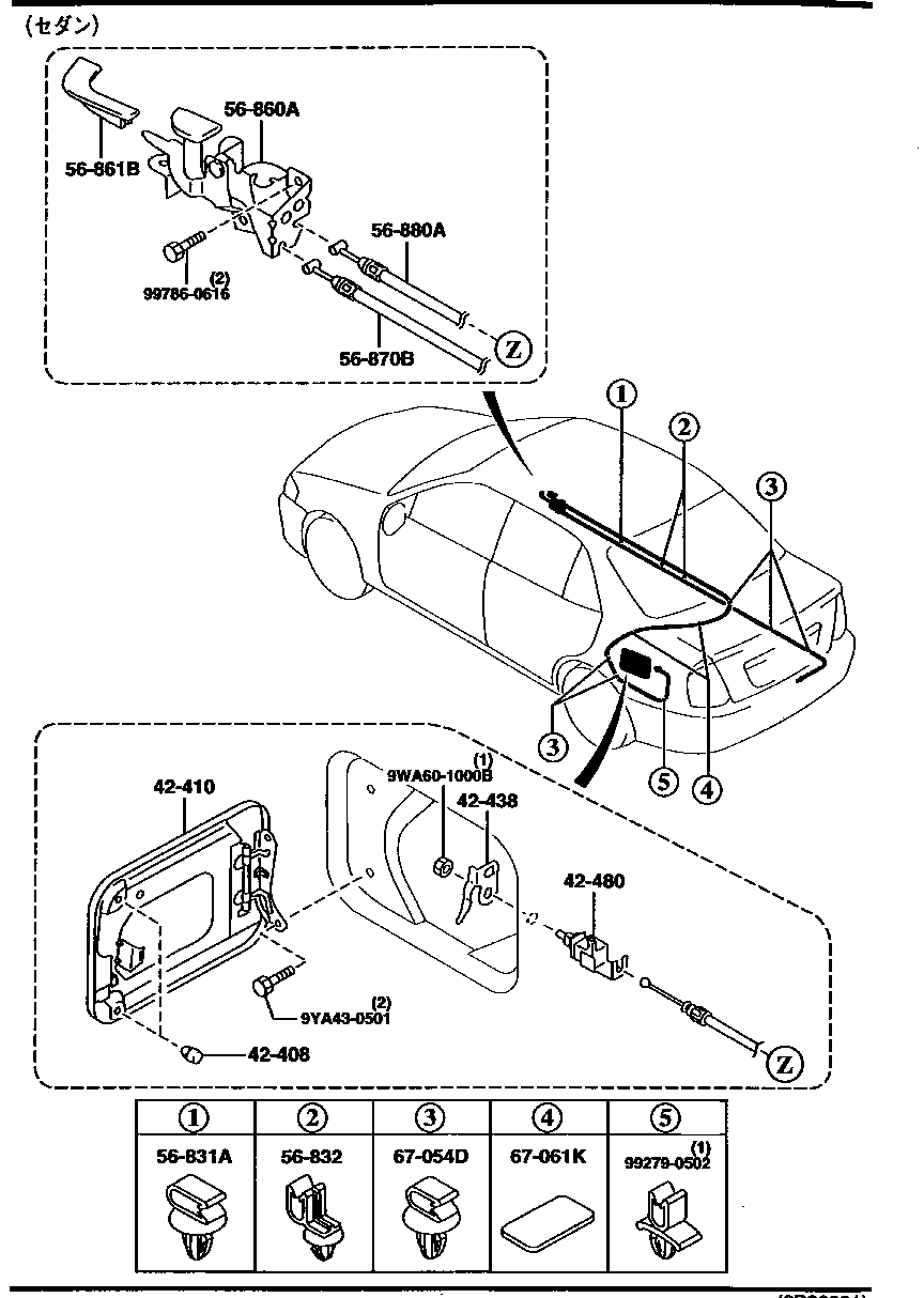 FUEL  LID  OPENER ( SEDAN)