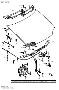 FRONT HOOD