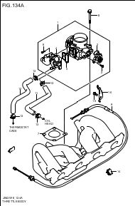 THROTTLE BODY