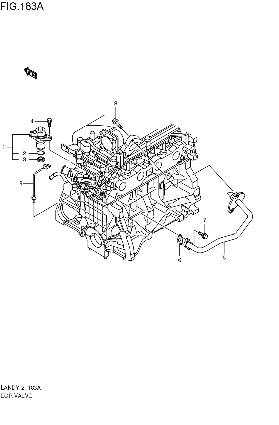 EGR VALVE(BULB)